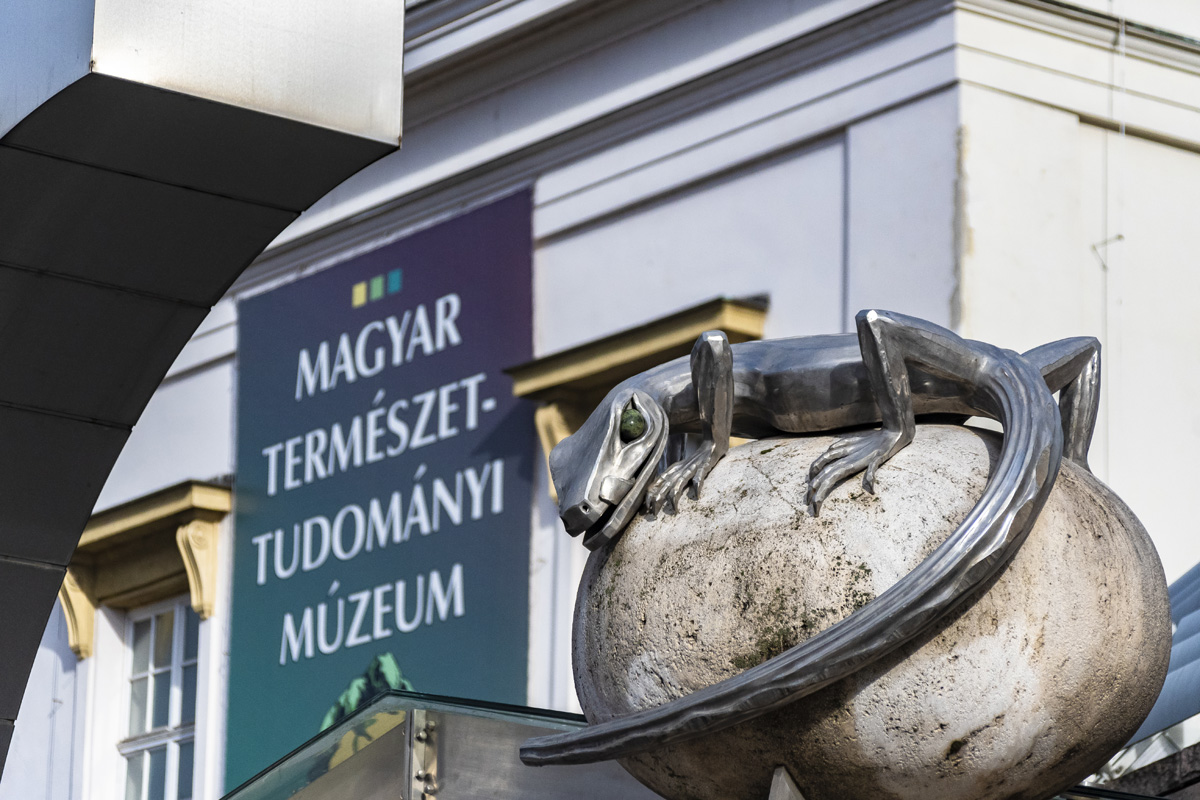 Fotó: Huszár Boglárka