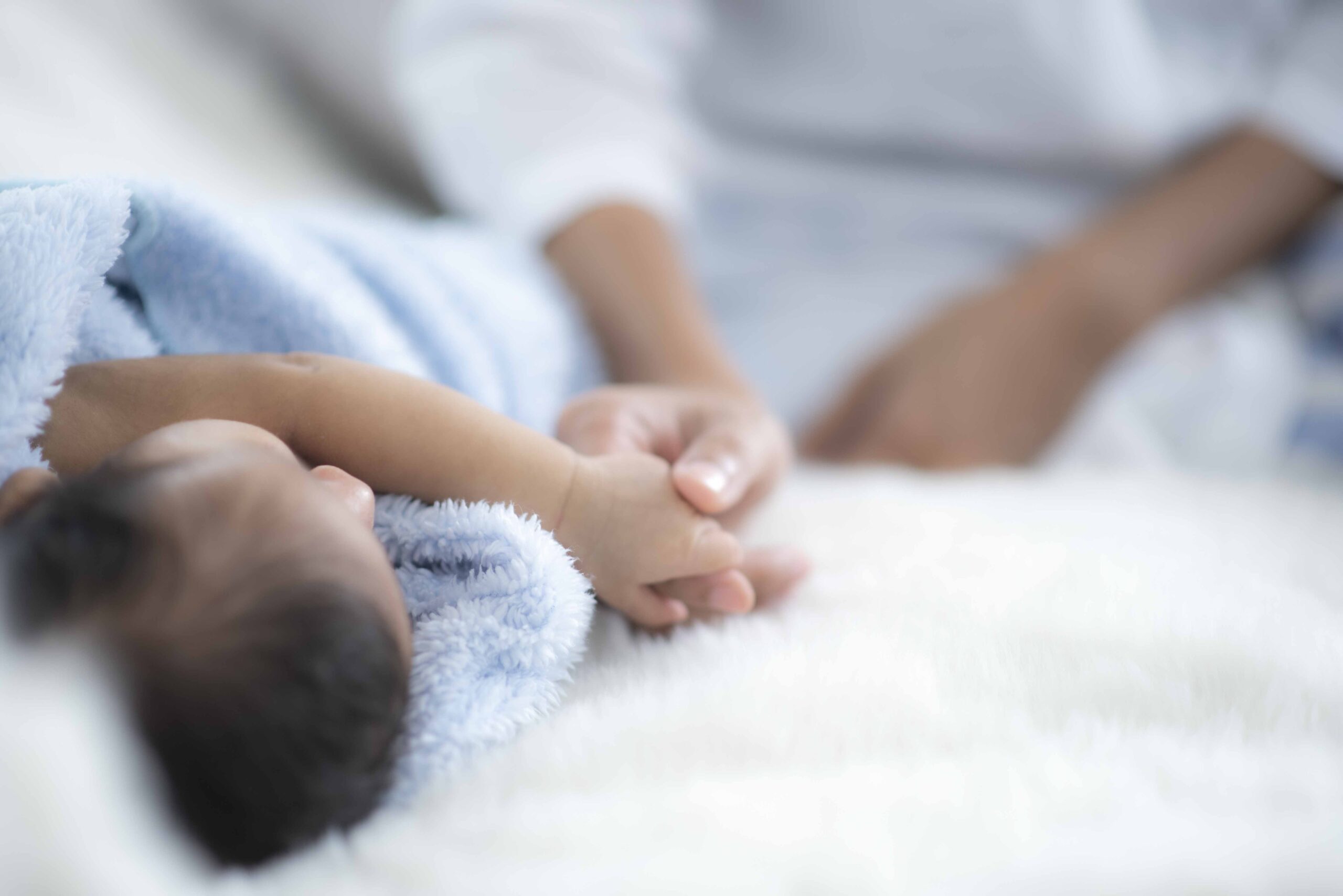 Stock Photo: Envato
