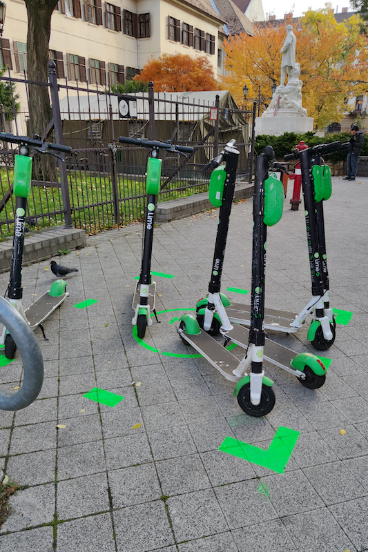 Lime rollerek - Fotó: Huszár Boglárka