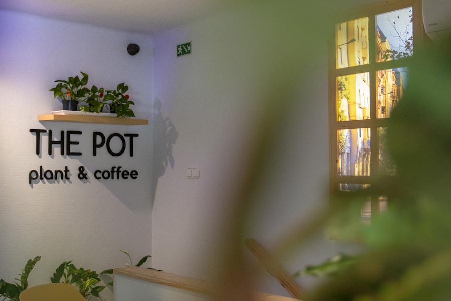 The Pot - Fotó: Huszár Boglárka