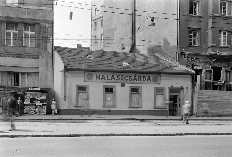 1977, Népszínház utca, Halászcsárda a körúti villamos-végállomásnál - Forrás: Fortepan.hu / Főfotó