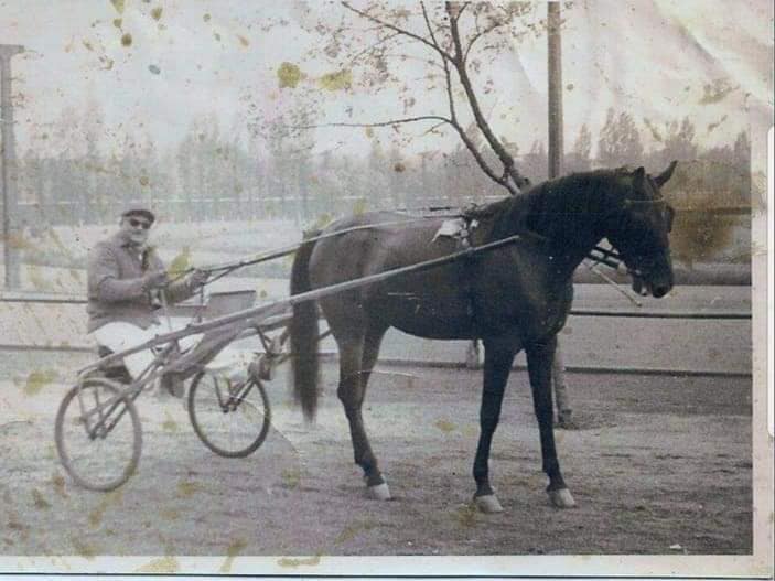 Beke Farkas Gyula