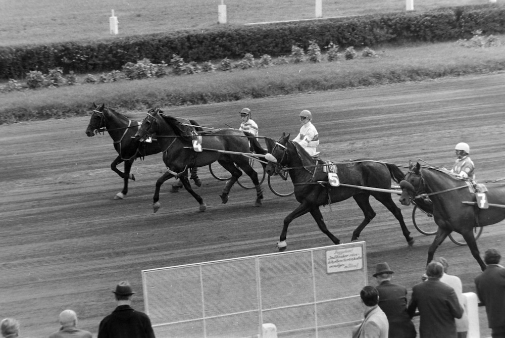 A Kerepesi úti Ügetőpálya 1972-ben - Fotó: Fortepan / Gábor Viktor