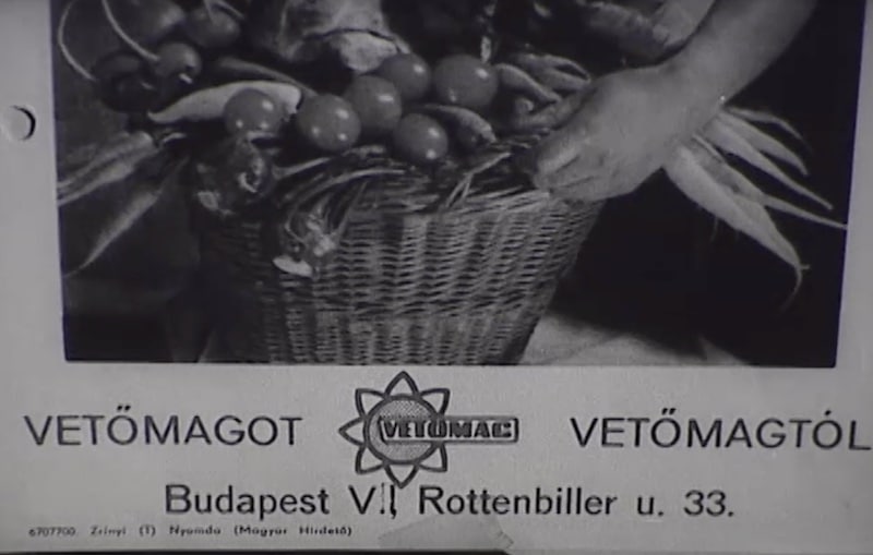 Vetőmag-hirdetés egy 1968-as, reklámokat kritizáló filmhíradóban - Forrás: Filmhíradók Online