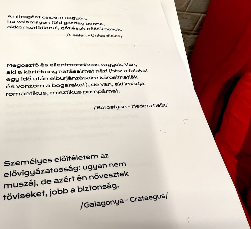 Csalán - galagonya - borostyán