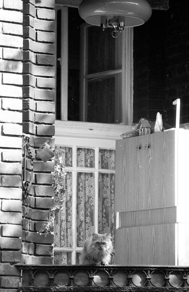 1983. A MÁVAG kolónia udvara. - Fotó: Fortepan / Szalay Zoltán