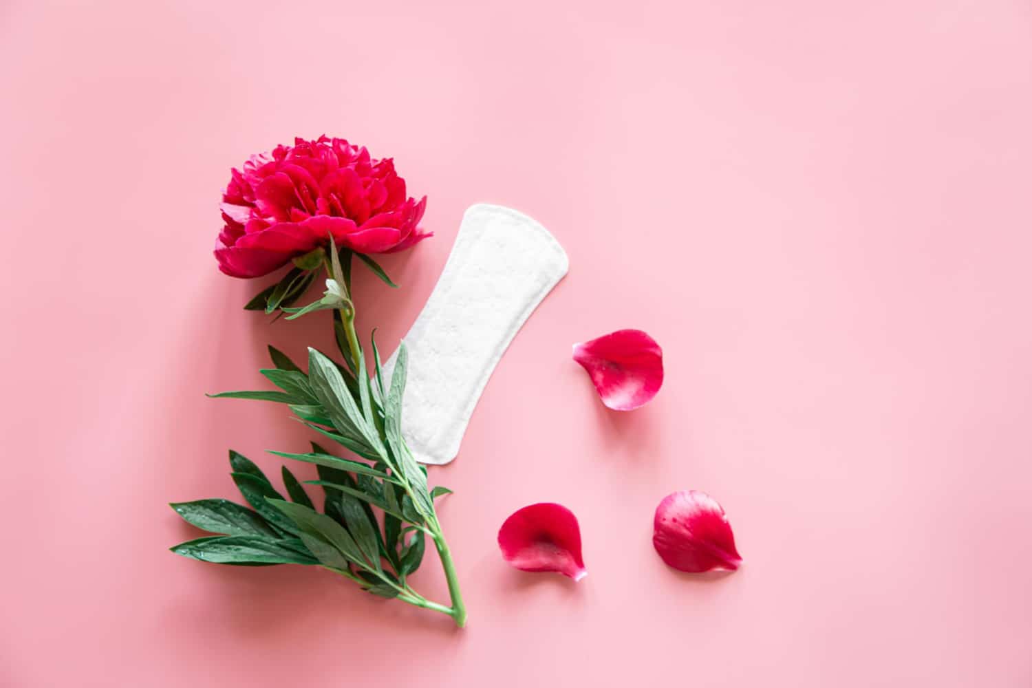 womens-pad-flower-flat-lay-womens-health-menstruation-concept