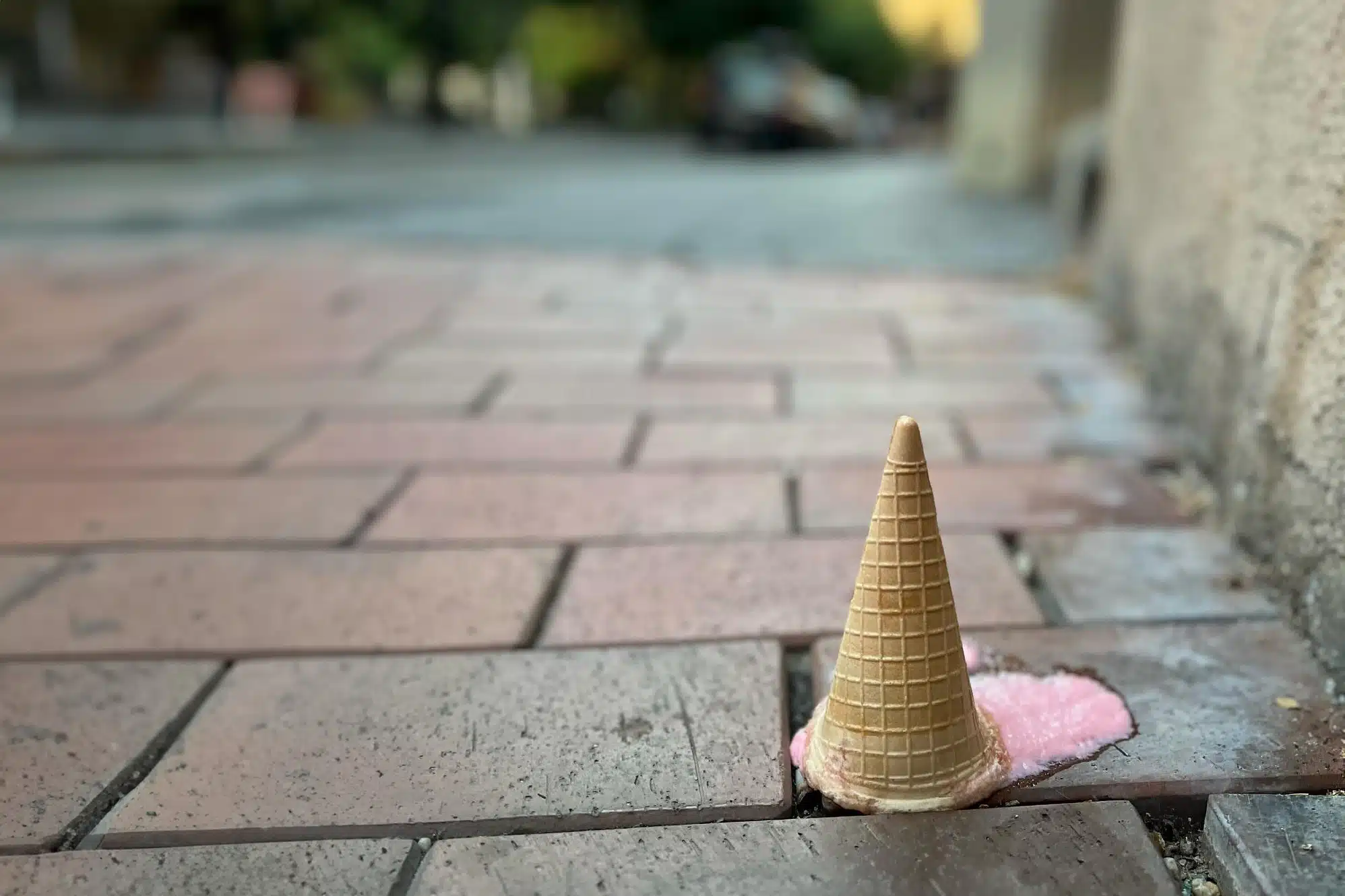 mm_hoseg2