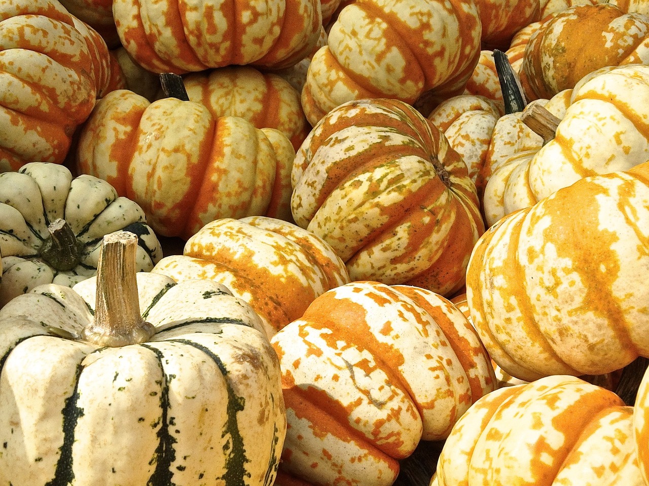 pumpkins-441203_1280