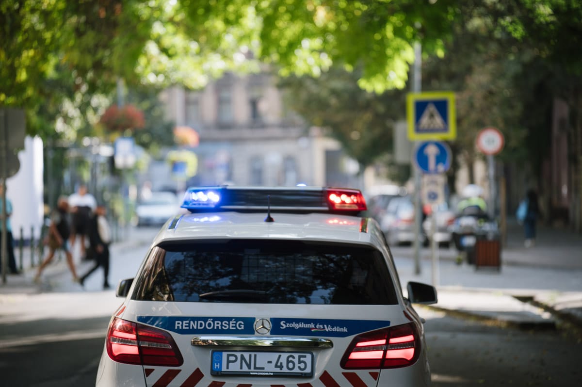 mm_rendorseg_kis-2