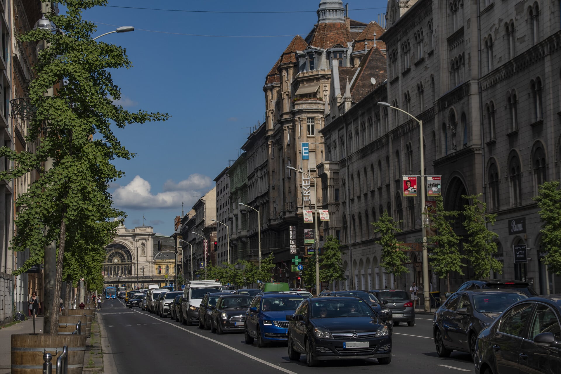 DSC_3026.jpg_compressed