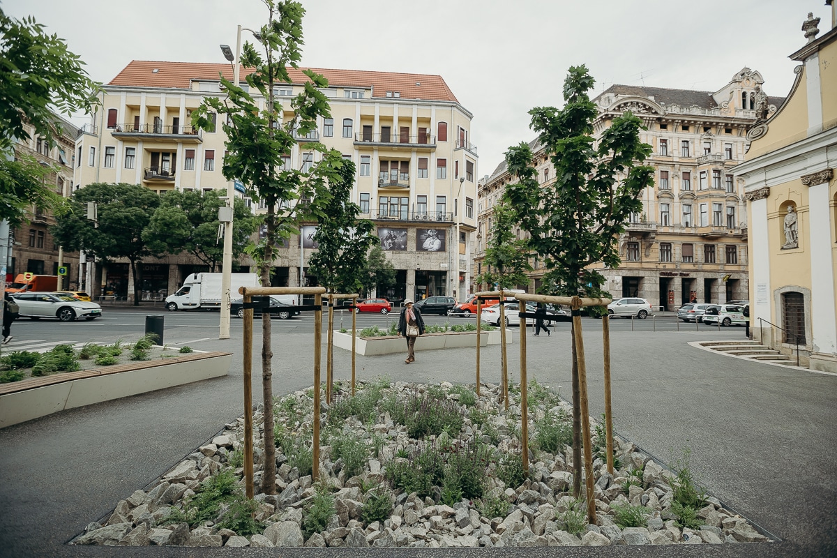 2025. május 19. Zöldítés a Szent RÓkus-kápolna előtt