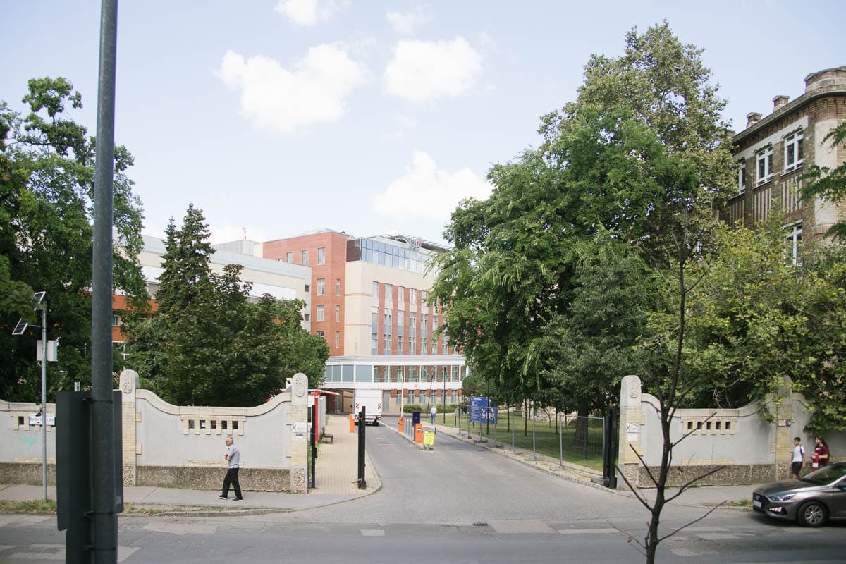 mm_losi_kis-140