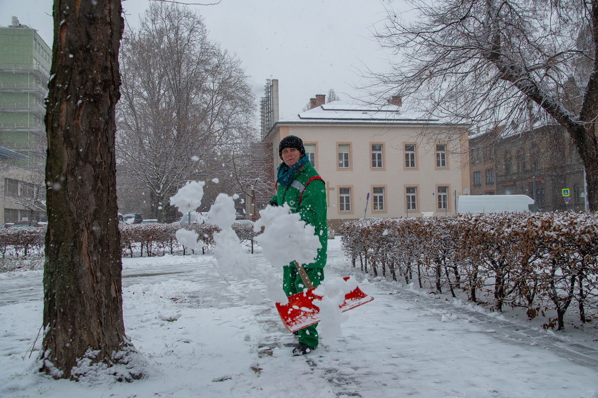 HUSZAR_BOGLARKA