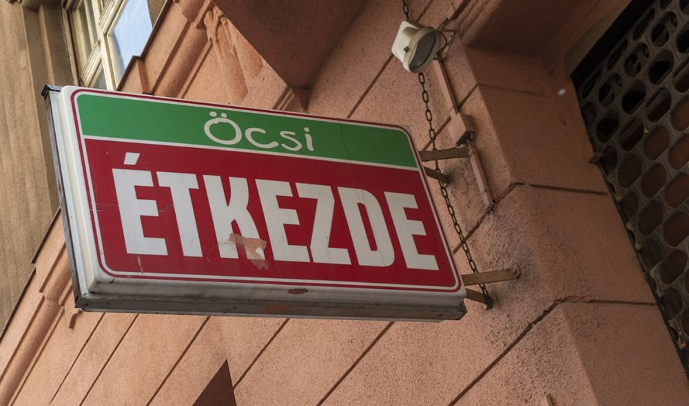 HB-öcsi étkezde (3)
