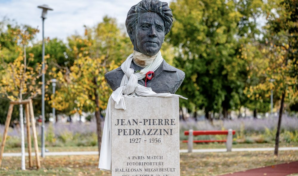 HB-pedrazzini (13)