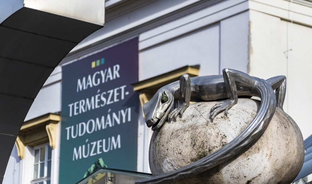 Fotó: Huszár Boglárka