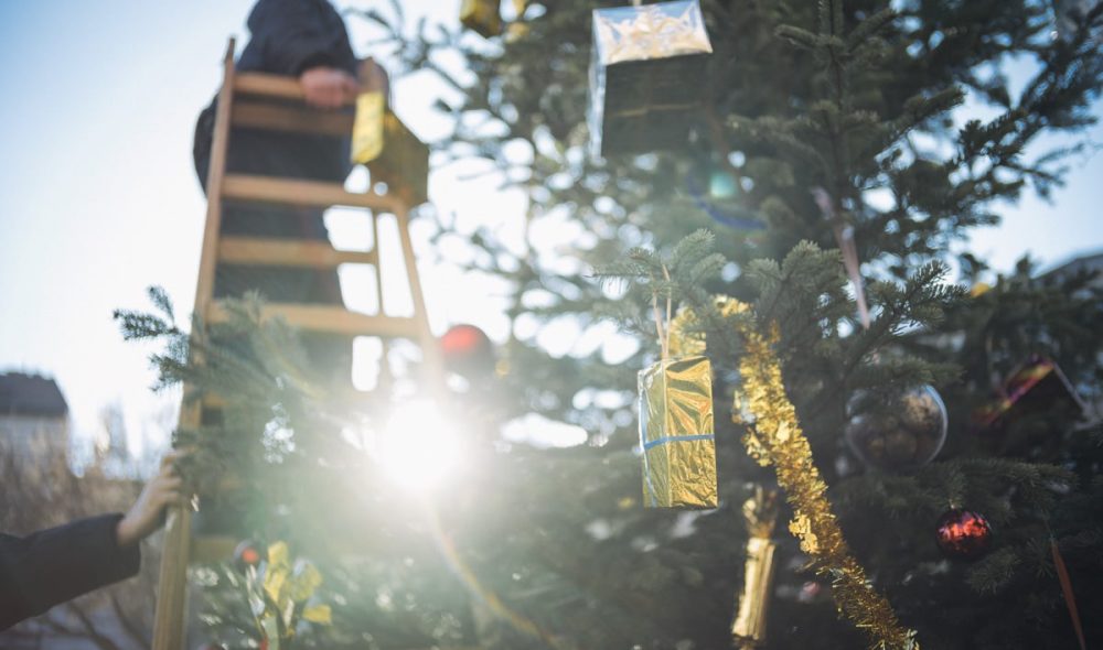 A Jozsefvarosi Onkormanyzat dolgozoi karacsonyfat diszitenek a Horvath Mihaly teren, 2022. december 13-an. Foto: Karancsi-Albert Rudolf / Jozsefvaros Ujsag