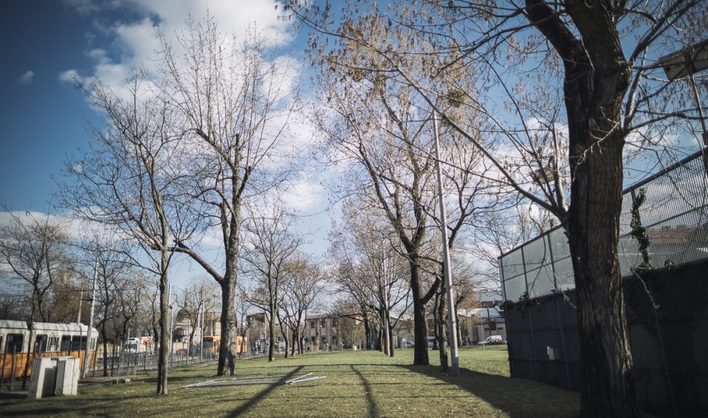 A Koltói Anna tér Józsefvárosban, 2023. március 21-én. Fotó: Karancsi-Albert Rudolf / Józsefváros Újság
