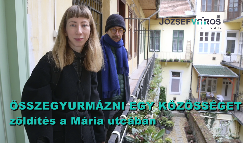 belyeg 2