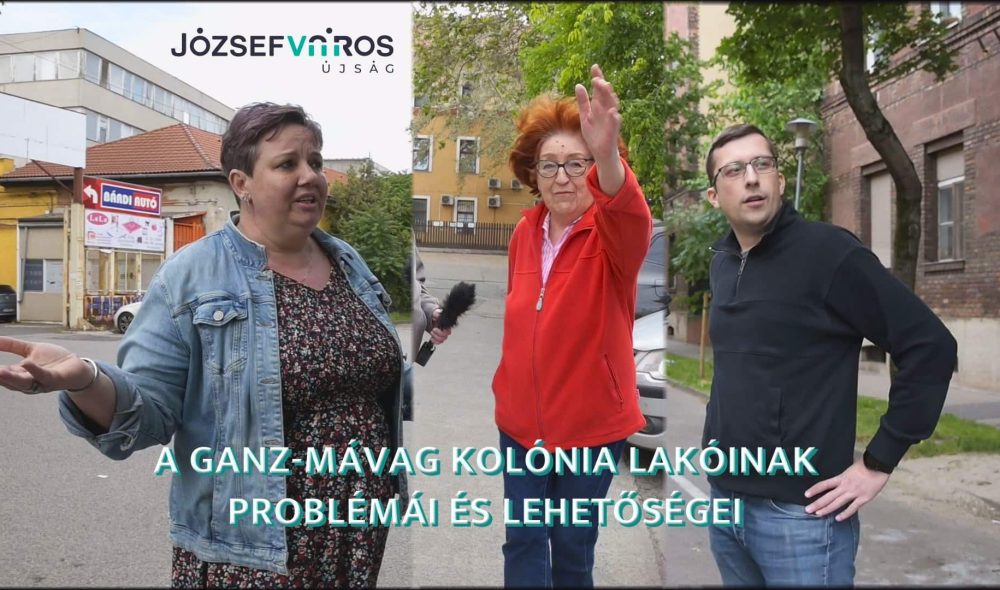belyeg00000000