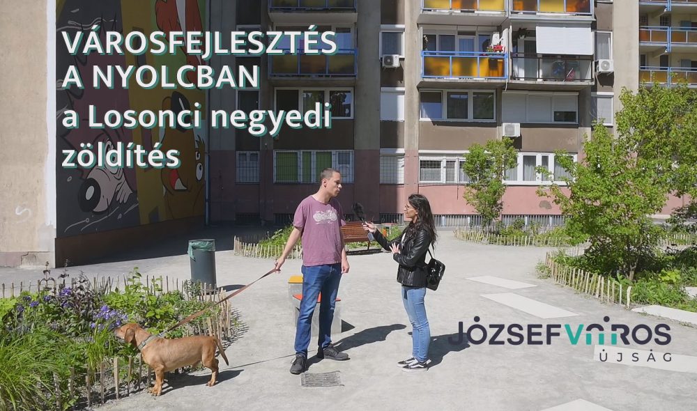 belyeg00000000