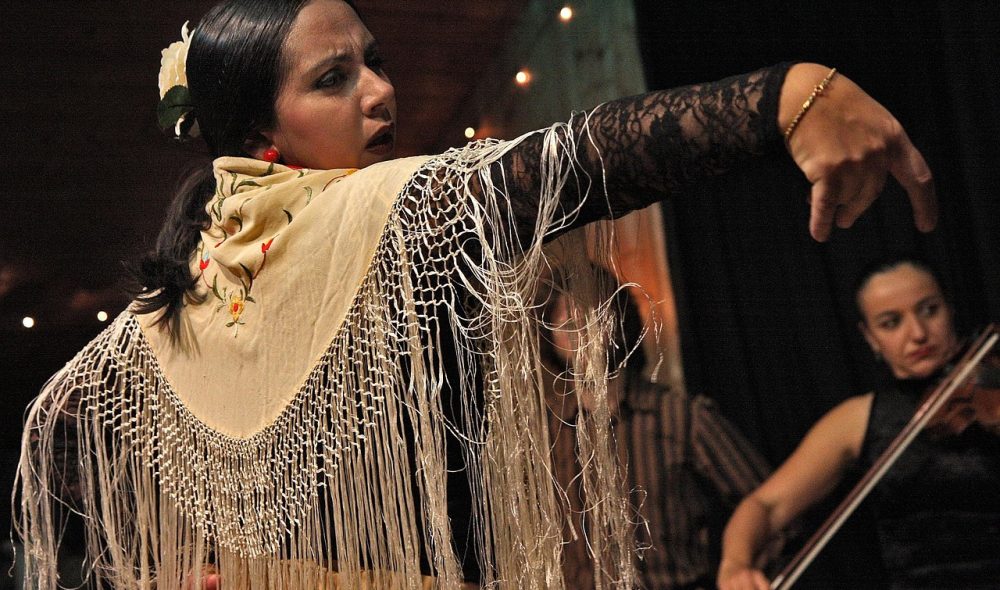 flamenco-594272_1280