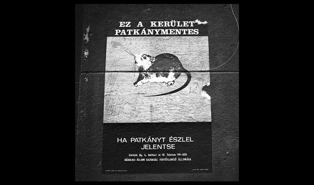 fortepan_15891