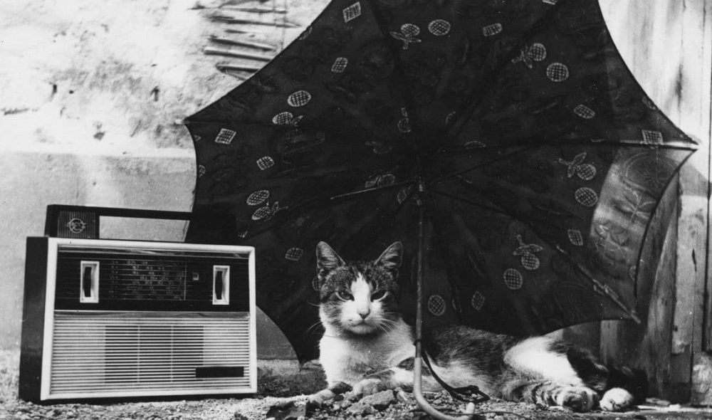 Fotó: Fortepan/Rádió és Televízió Újság