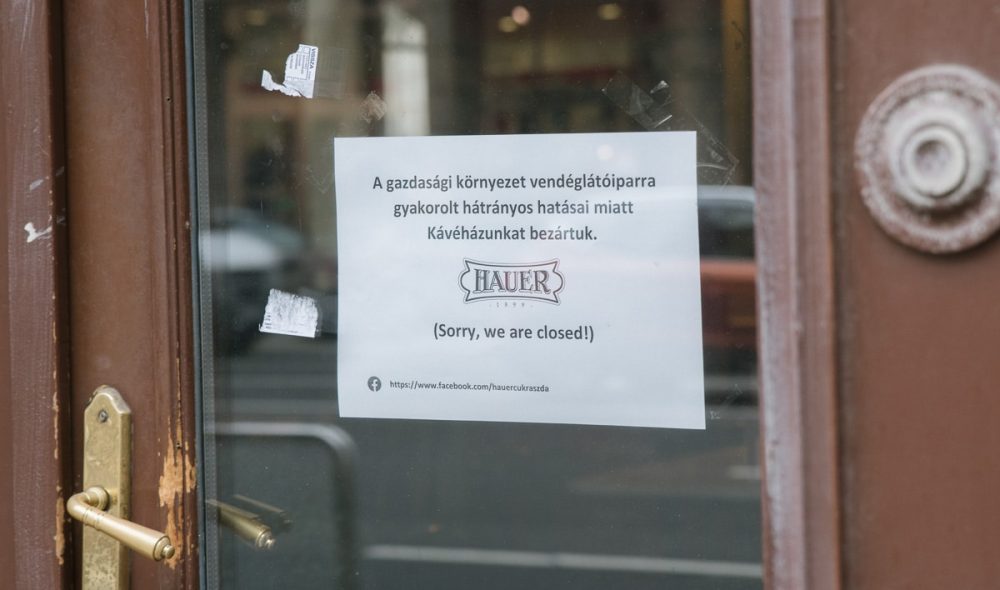 hb_hauer_kis