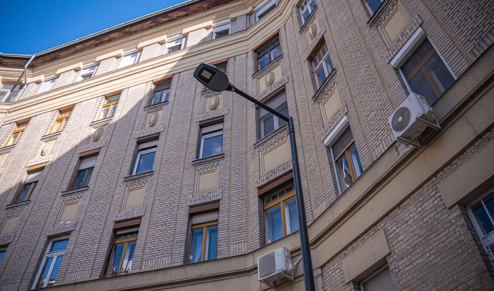 mm_losykandela_kis-4