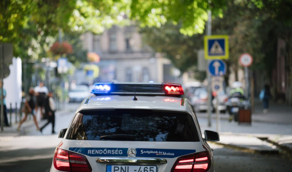 mm_rendorseg_kis-2