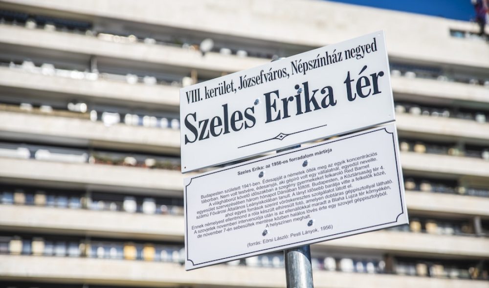 Szeles Erika téravató
